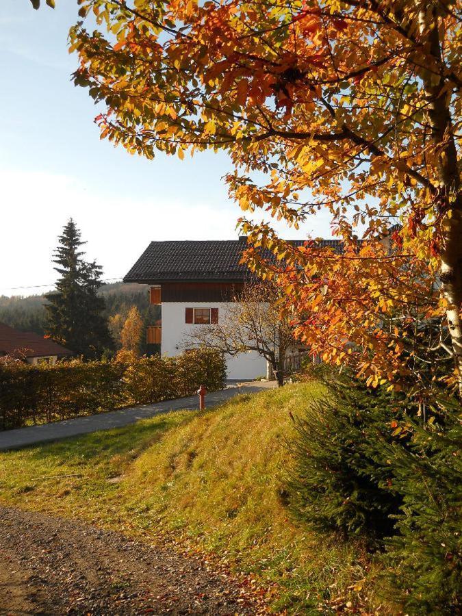 Ferienwohnung Piller Hohenau ภายนอก รูปภาพ